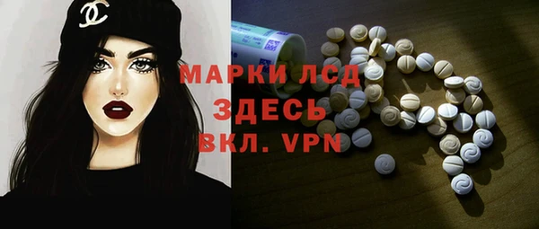 ECSTASY Бородино