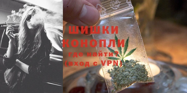 ECSTASY Бородино
