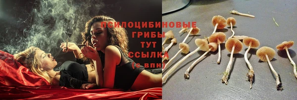 СК Верея