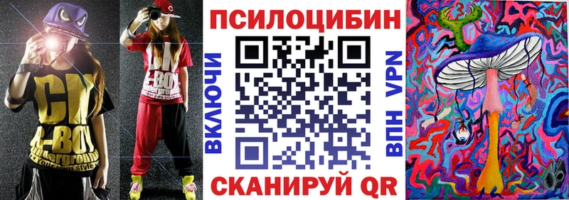 где найти   Разумное  Псилоцибиновые грибы прущие грибы 